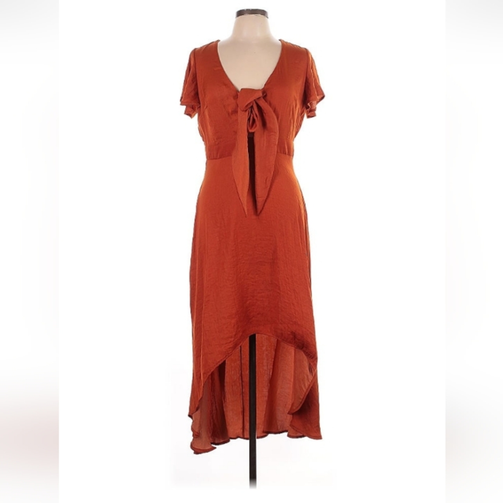 Blue Rain Size L Rust Dress